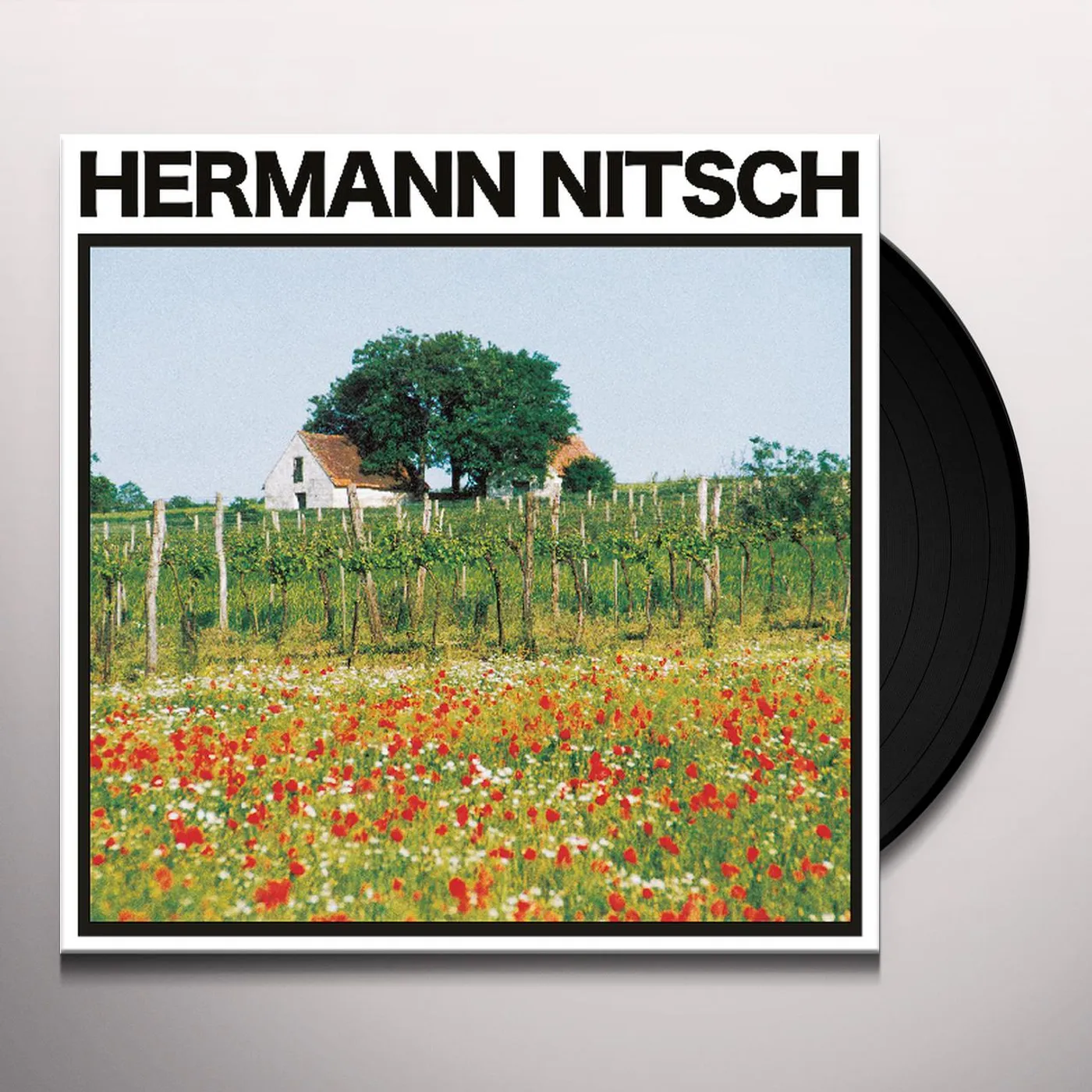 Hermann Nitsch TRAUBENFLEISCH Vinyl Record