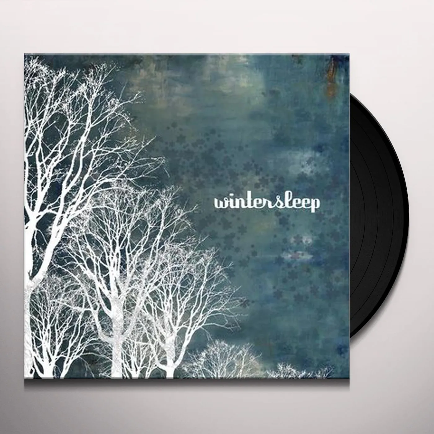 Wintersleep Vinyl Record