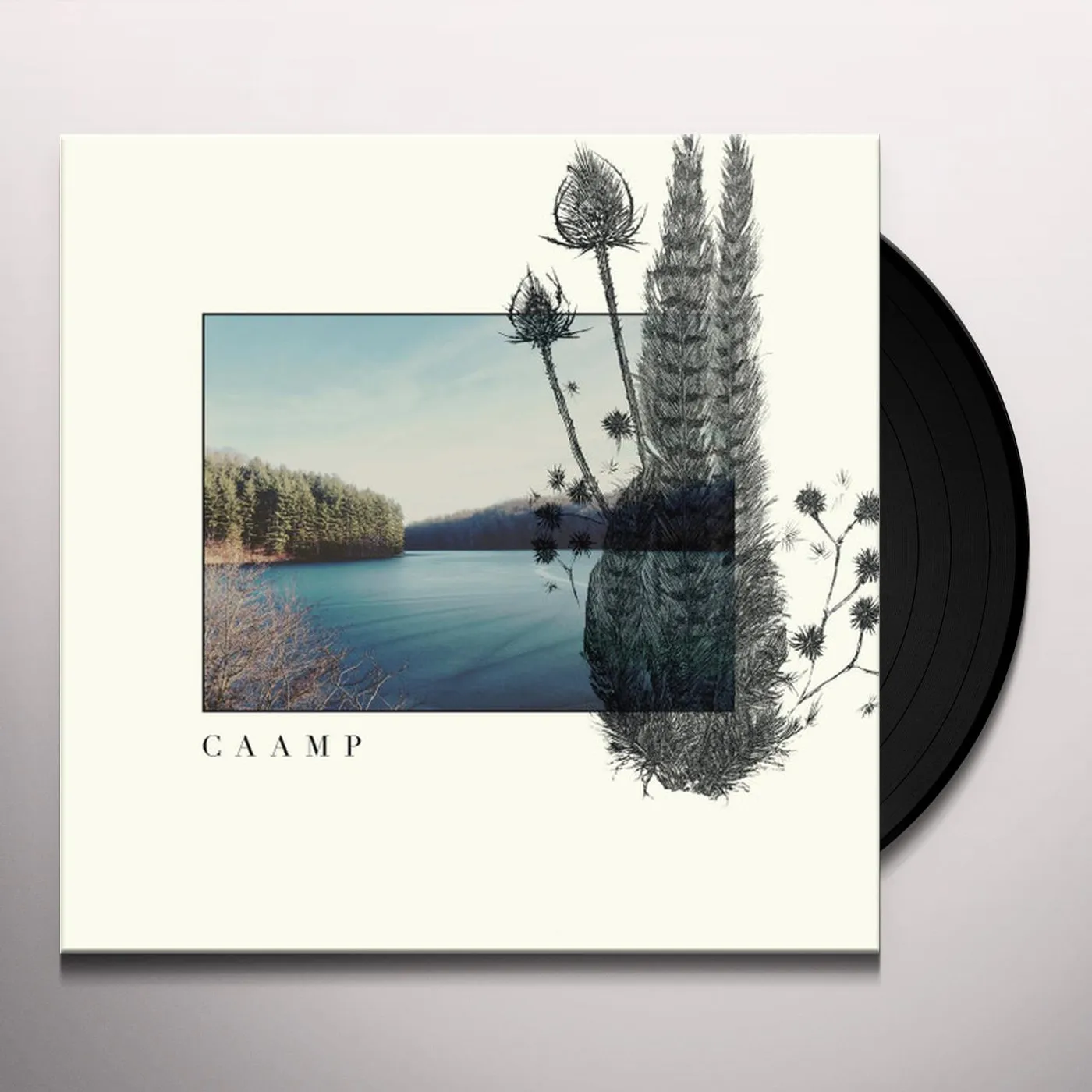  CAAMP S/T Vinyl Record