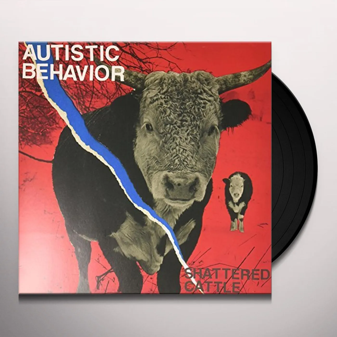 Autistic Behavior Shattered Cattle Vinyl Record
