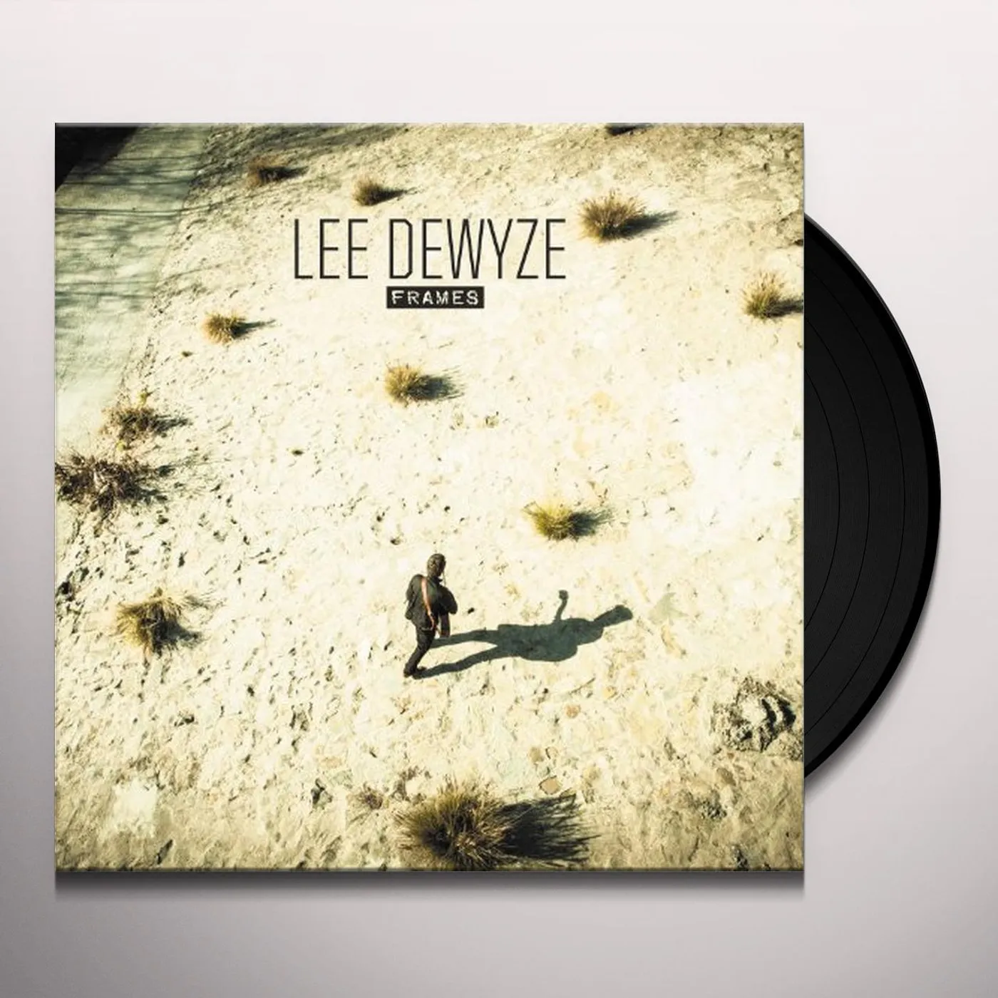 Lee DeWyze Frames Vinyl Record