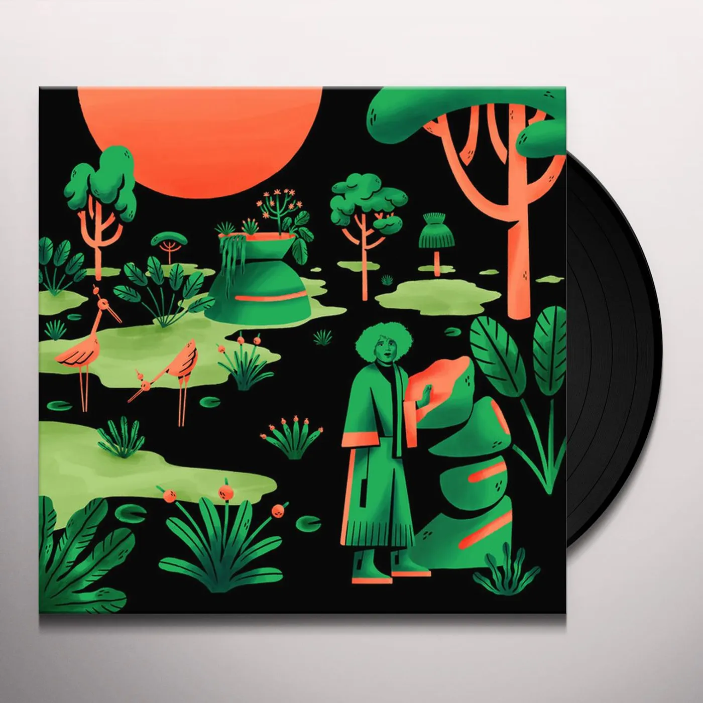 rRoxymore Face to Phase Vinyl Record