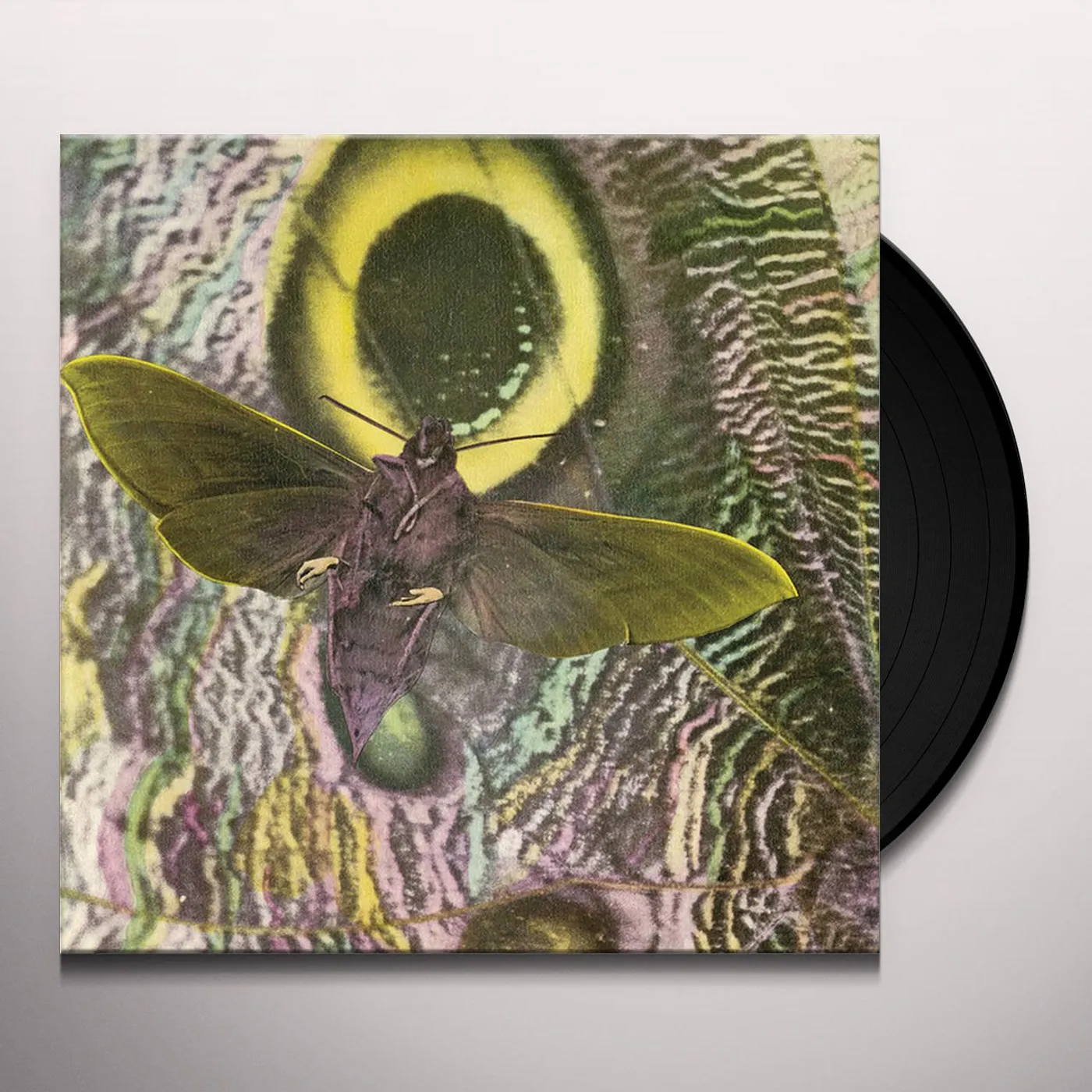 The Mothmen Pay Attention Vinyl Record