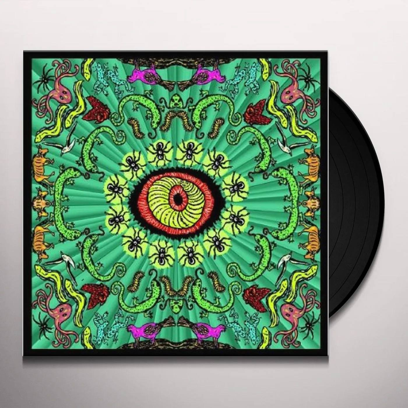 The Handsome Family Wilderness Vinyl Record