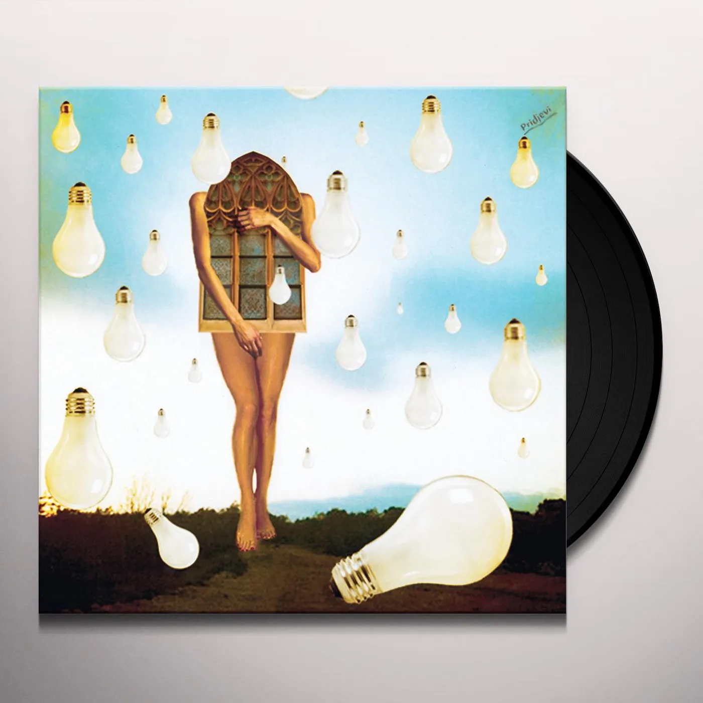 Pridjevi Vinyl Record