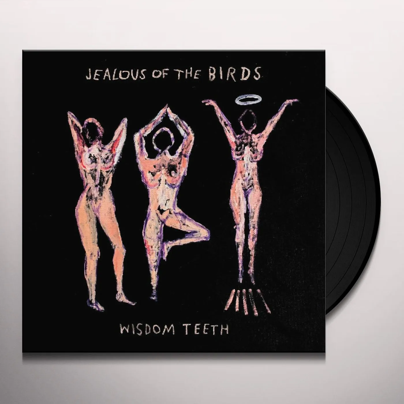 Jealous of the Birds Wisdom Teeth Vinyl Record