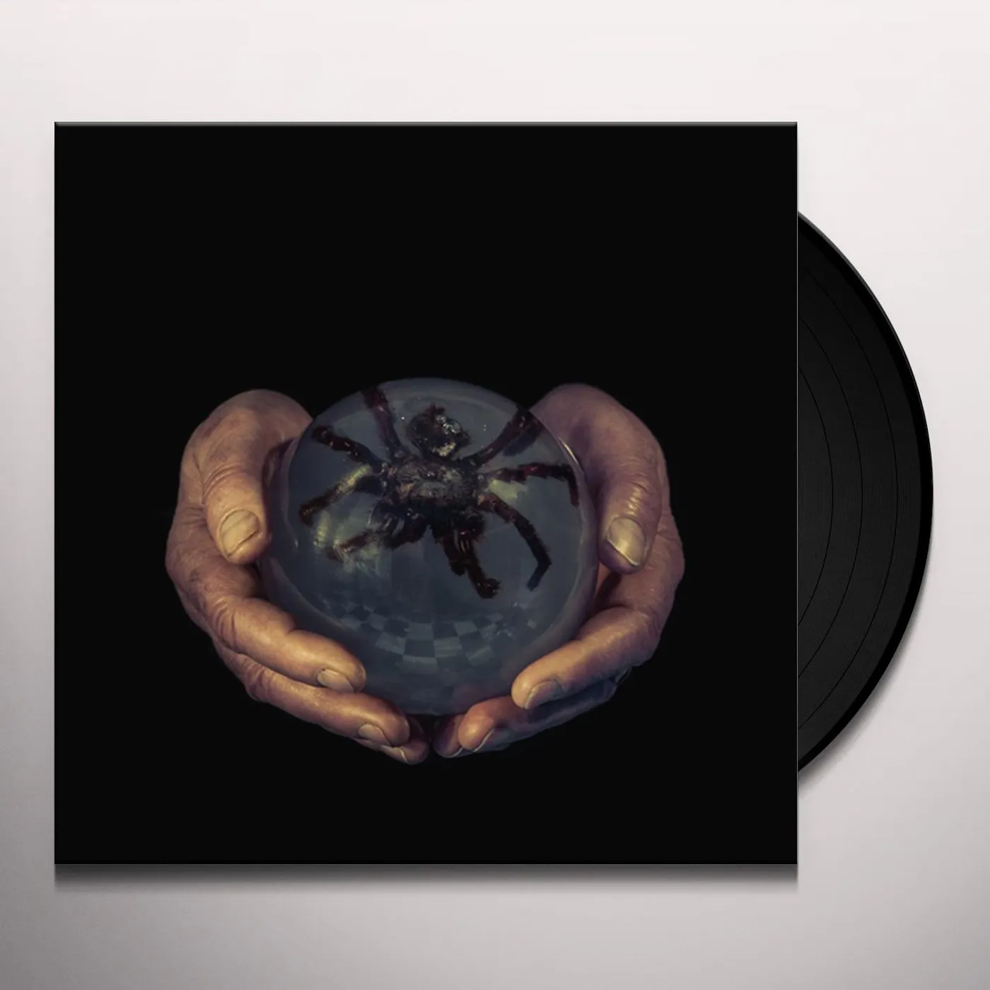 Buck Gooter SPIDERS EYES Vinyl Record