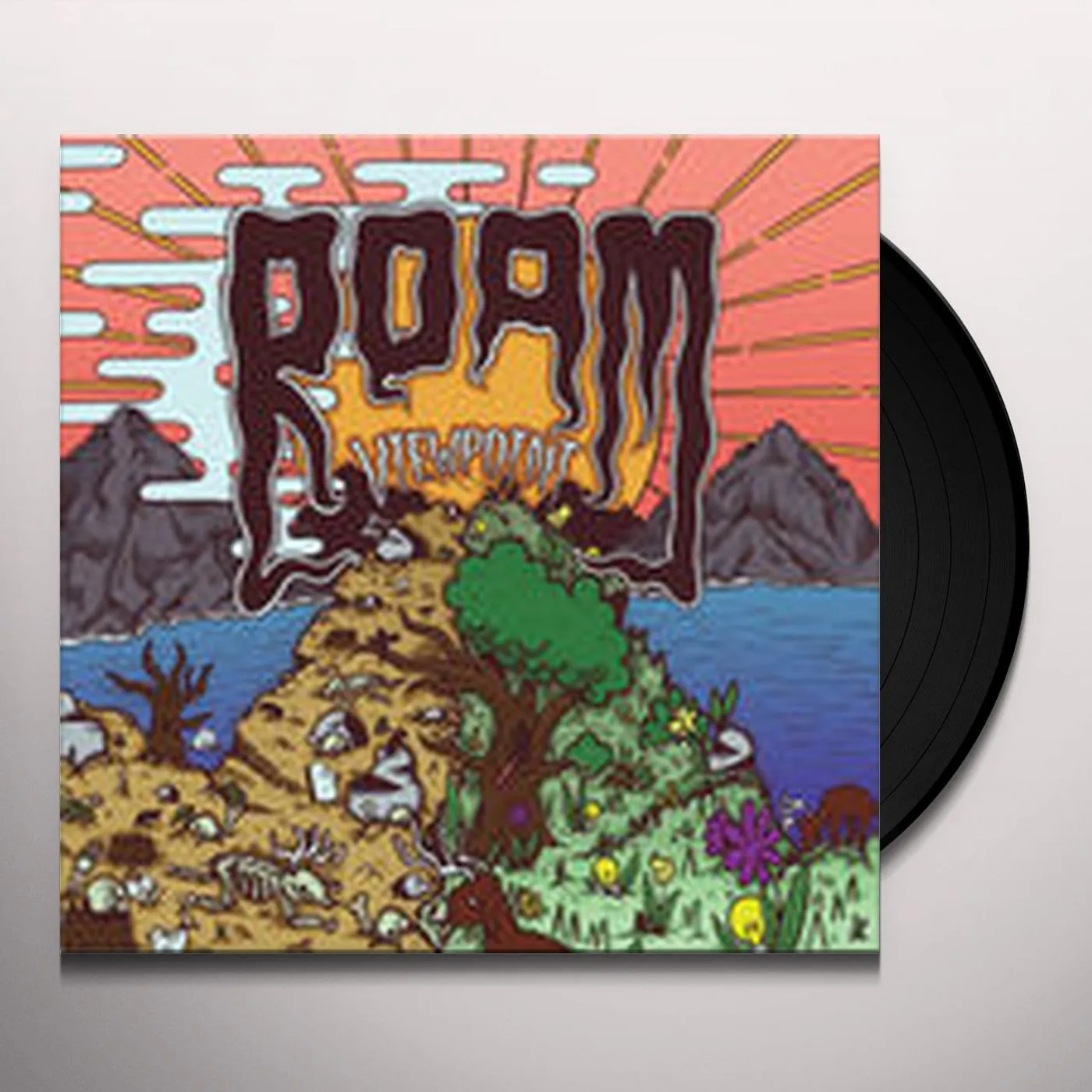 ROAM Viewpoint Vinyl Record