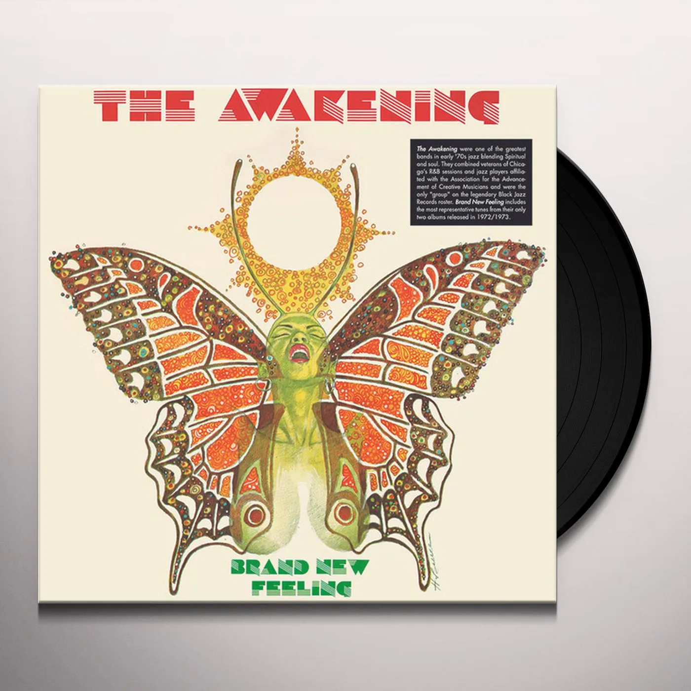 The Awakening BRAND NEW FEELING Vinyl Record