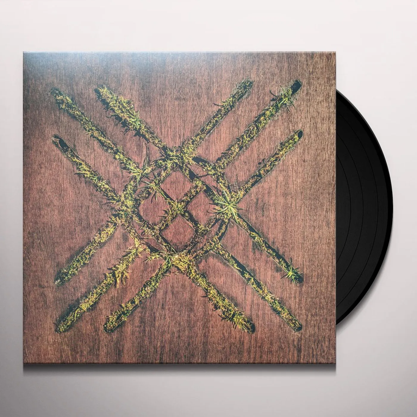 Moon Tooth Violent Grief: Acoustic Selections Vinyl Record