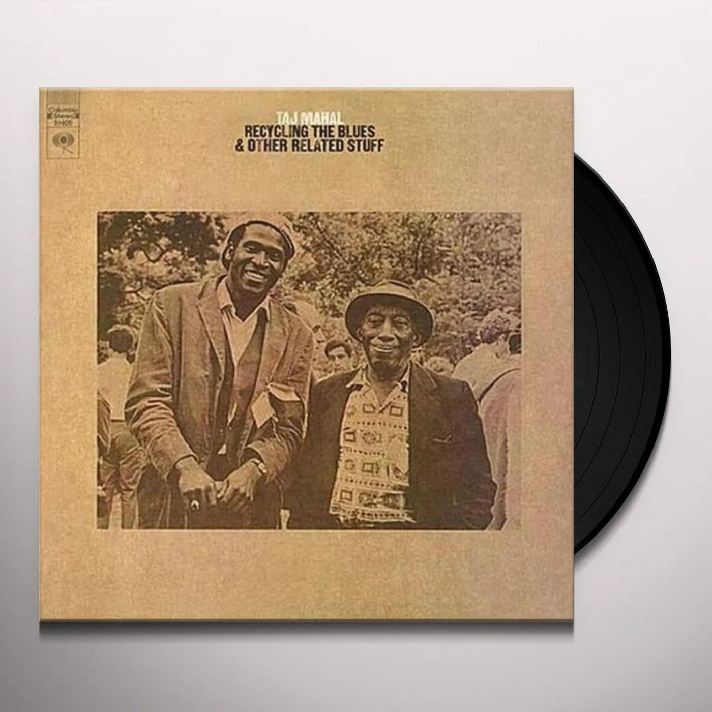 Taj Mahal Recycling the Blues & Other Related Stuff Vinyl Record