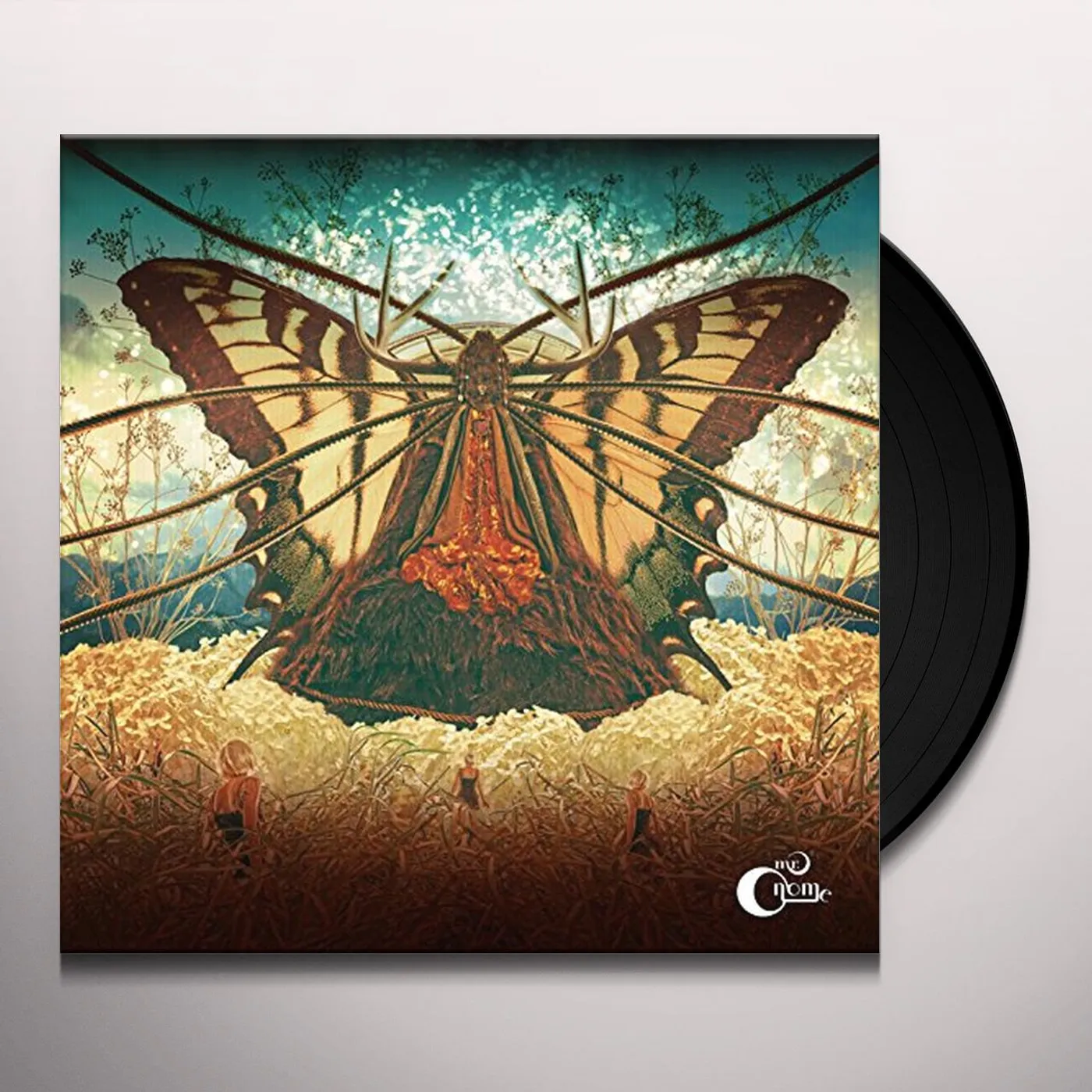 Mr. Gnome HEART OF A DARK STAR Vinyl Record