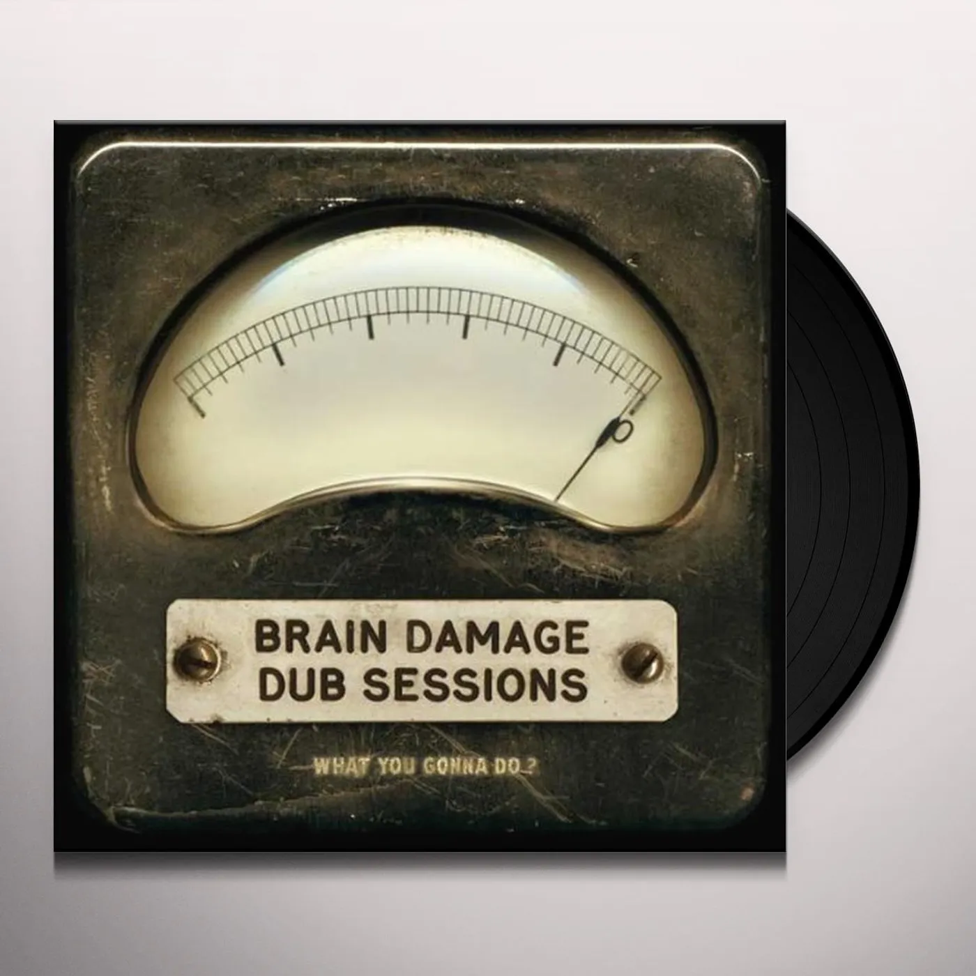 Brain Damage WHAT YOU GONNA DO Vinyl Record