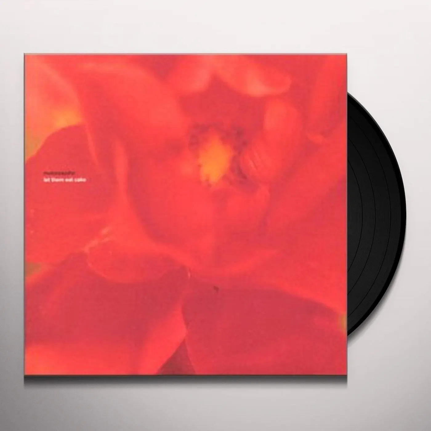 Tiger Bell Don't Wanna Hear About Your Band Vinyl Record