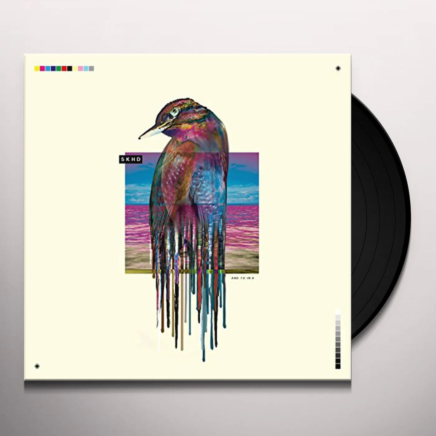 5K HD And to in A Vinyl Record