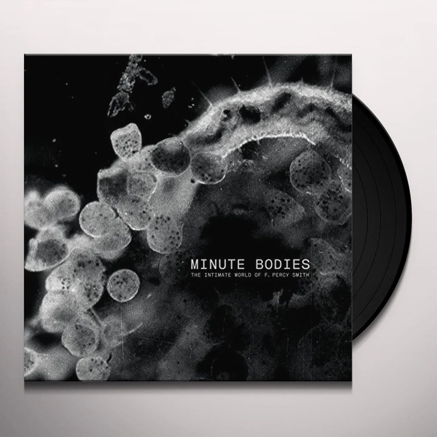 Tindersticks MINUTE BODIES: INTIMATE WORLD OF F PERCY SMITH Vinyl Record