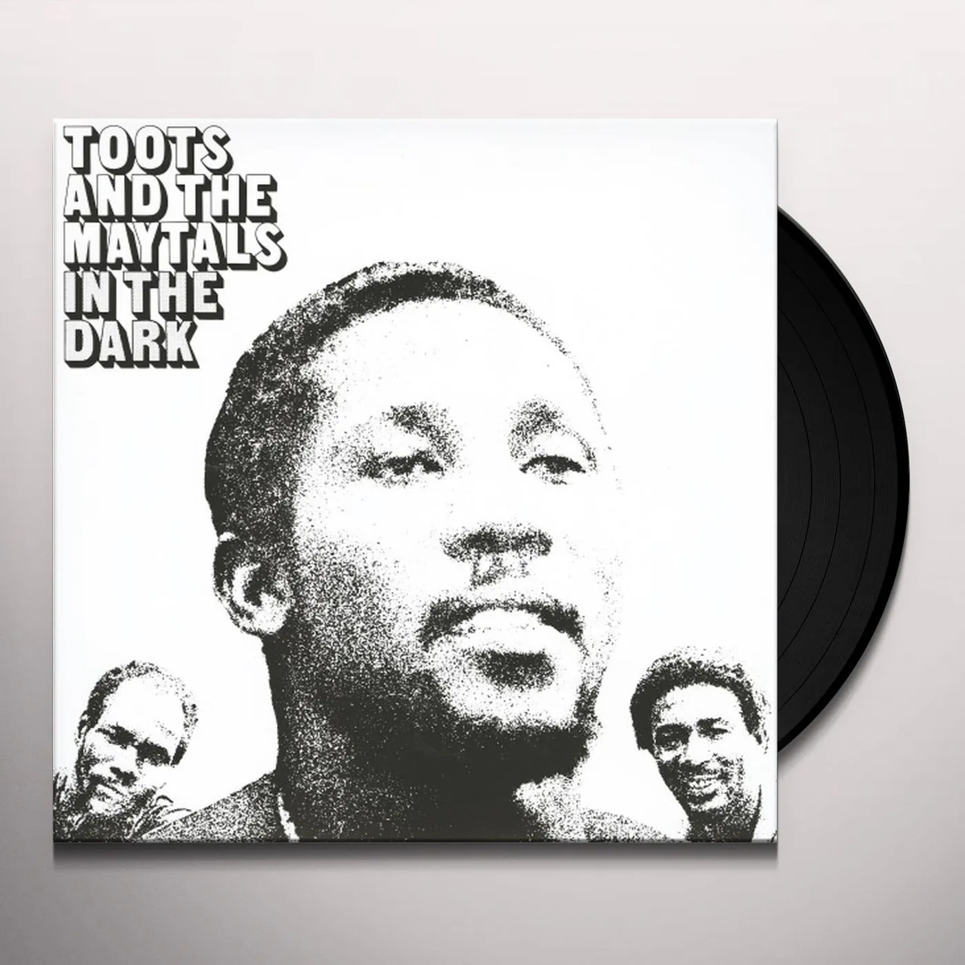 Toots & The Maytals IN THE DARK (180G AUDIOPHILE VINYL/IMPORT) Vinyl Record