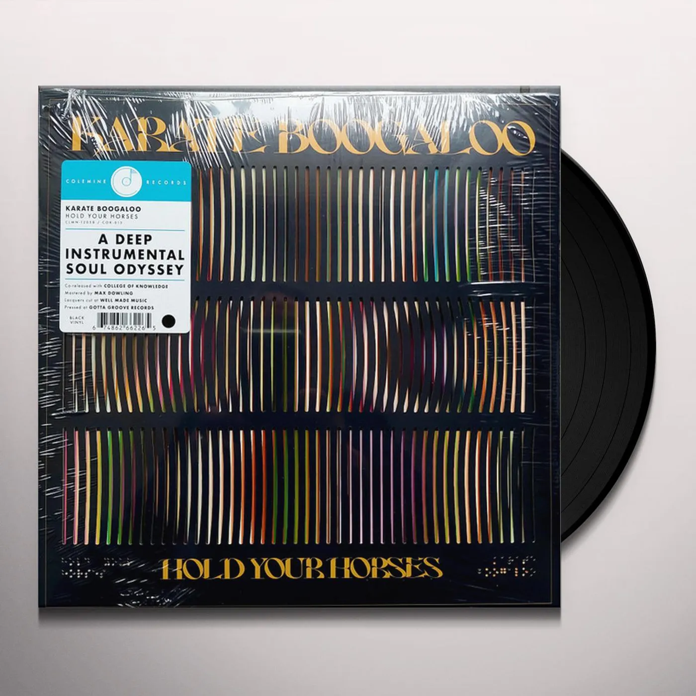 Karate Boogaloo HOLD YOUR HORSES Vinyl Record