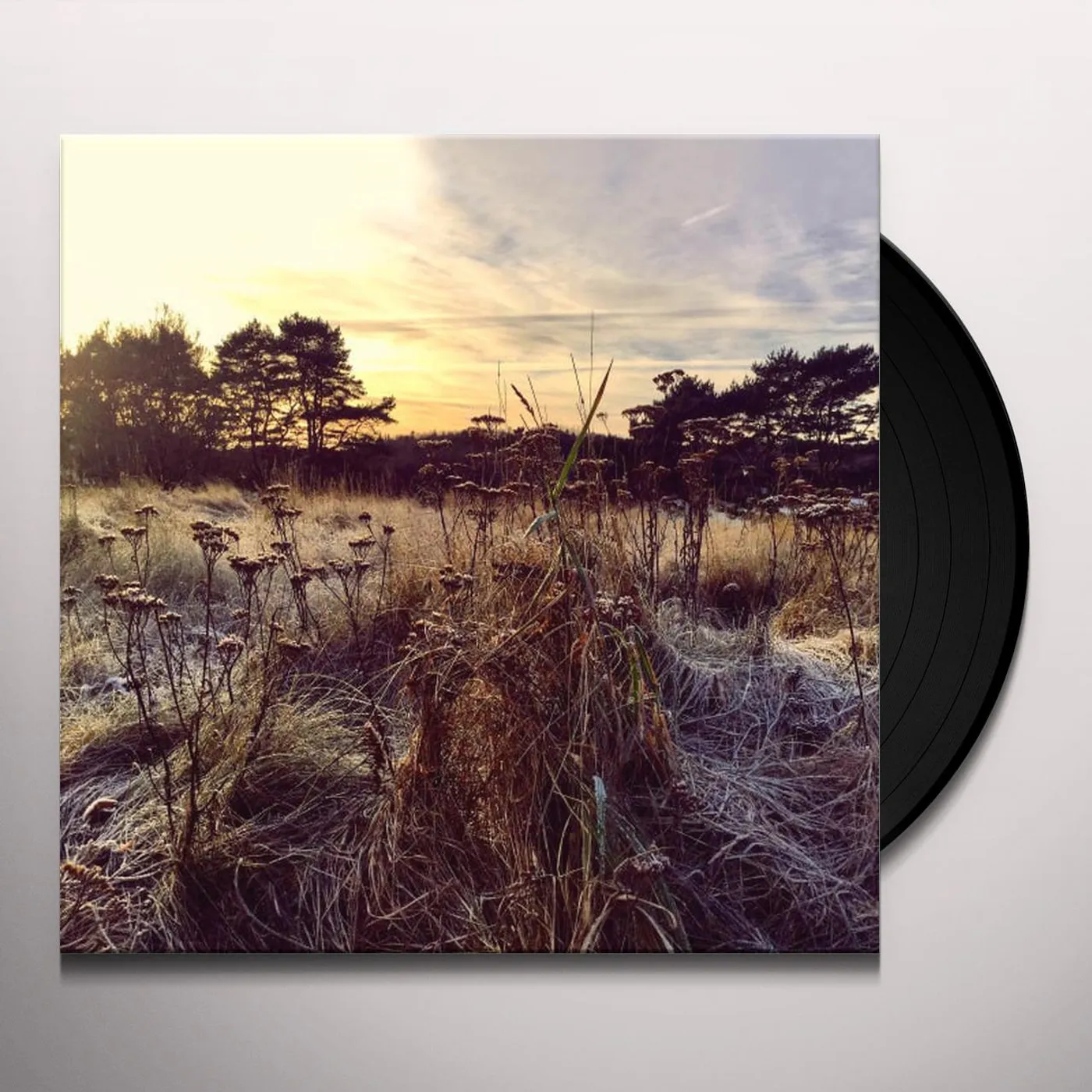 Ane Brun Leave Me Breathless Vinyl Record