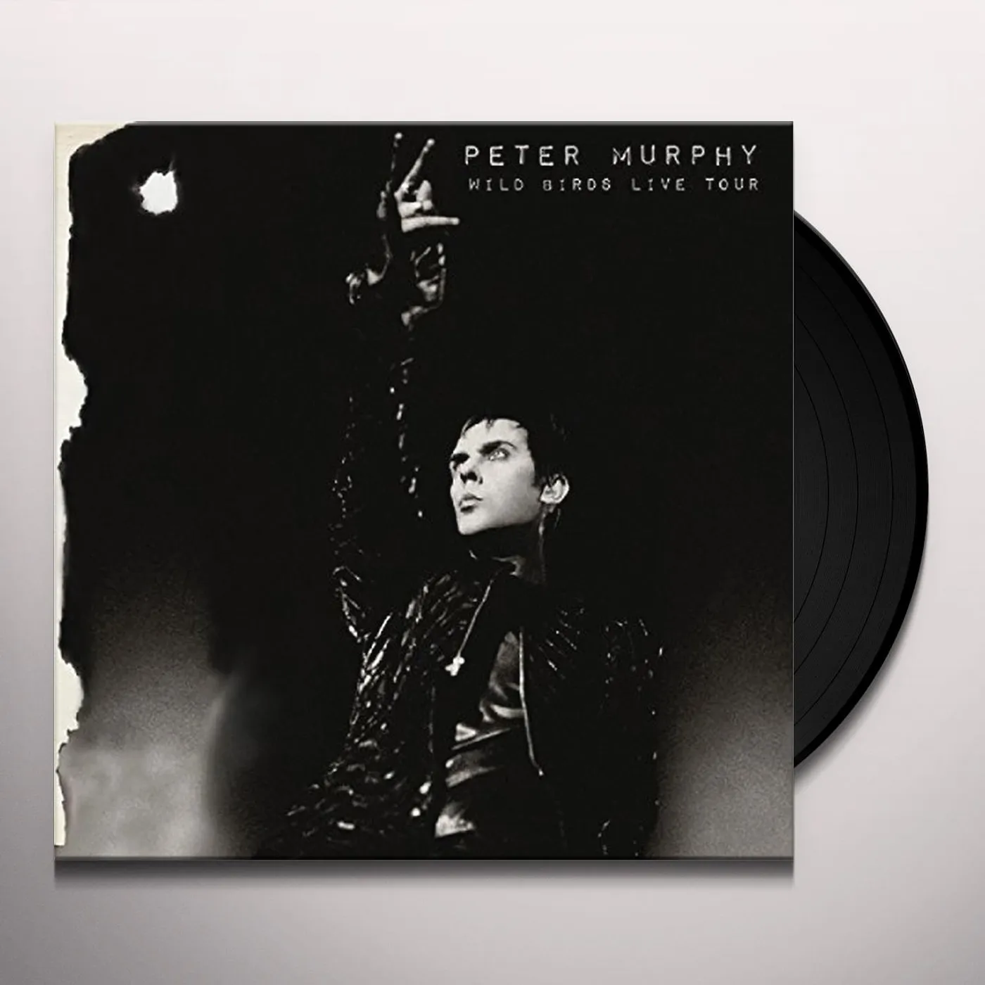 Peter Murphy Wild Birds Live Tour Vinyl Record