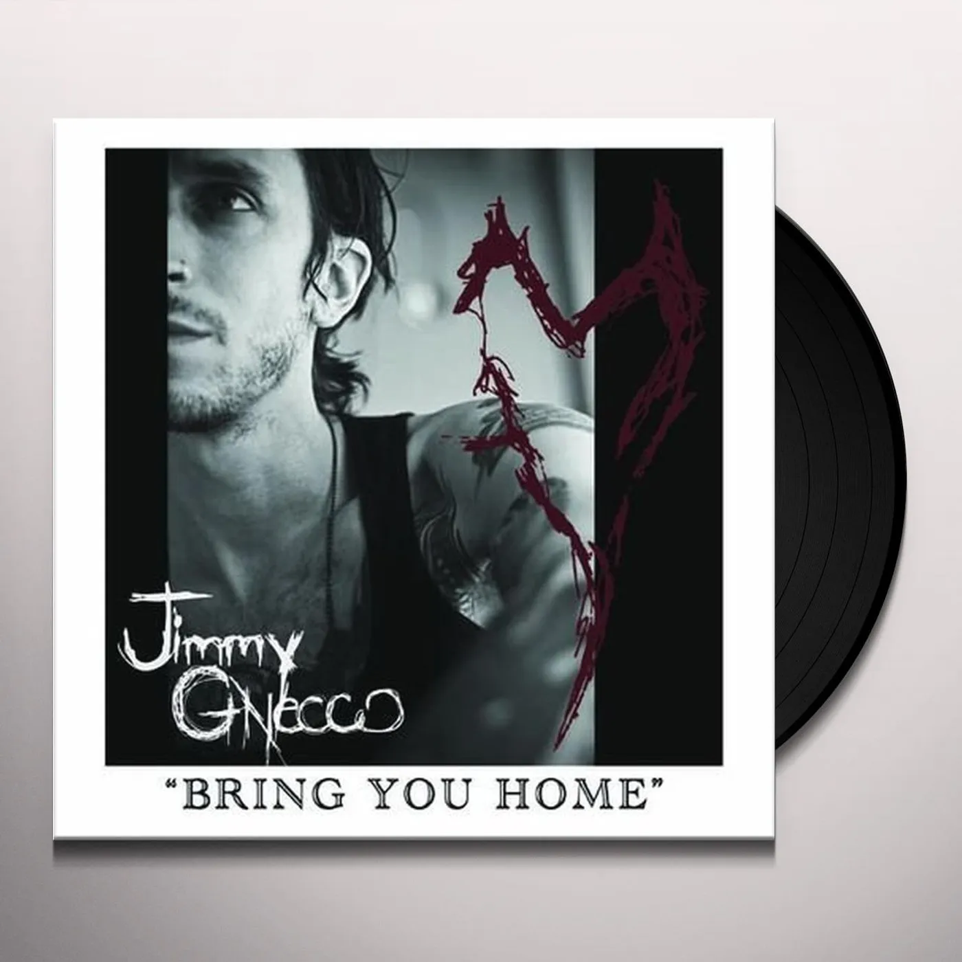Jimmy Gnecco BRING YOU HOME Vinyl Record