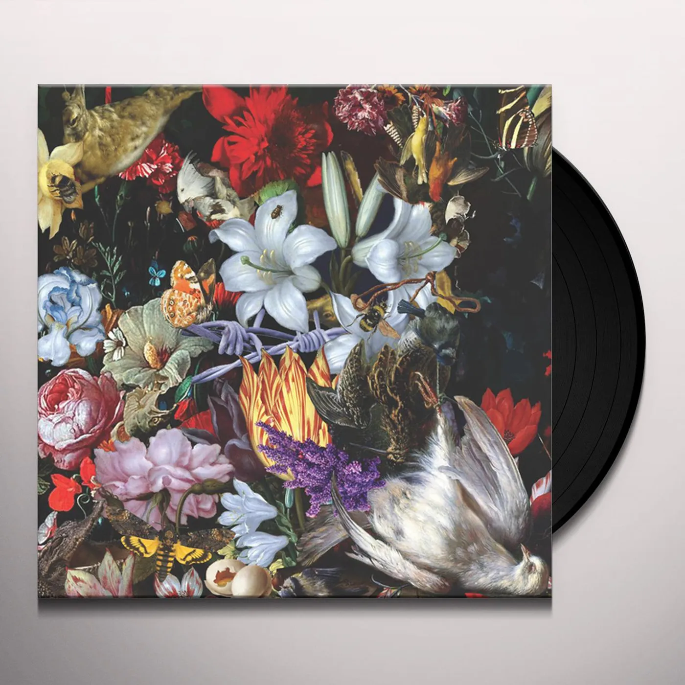 The Nightingales Perish The Thought Vinyl Record