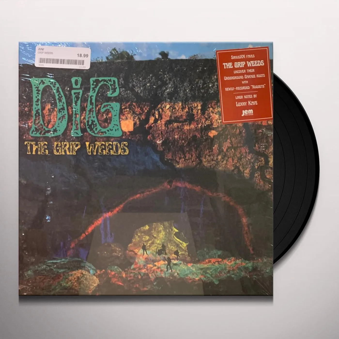 The Grip Weeds DiG Vinyl Record