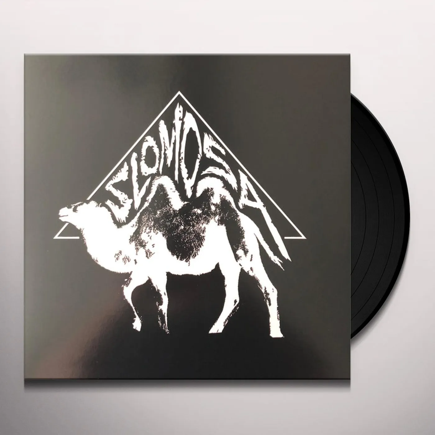 SLOMOSA Vinyl Record
