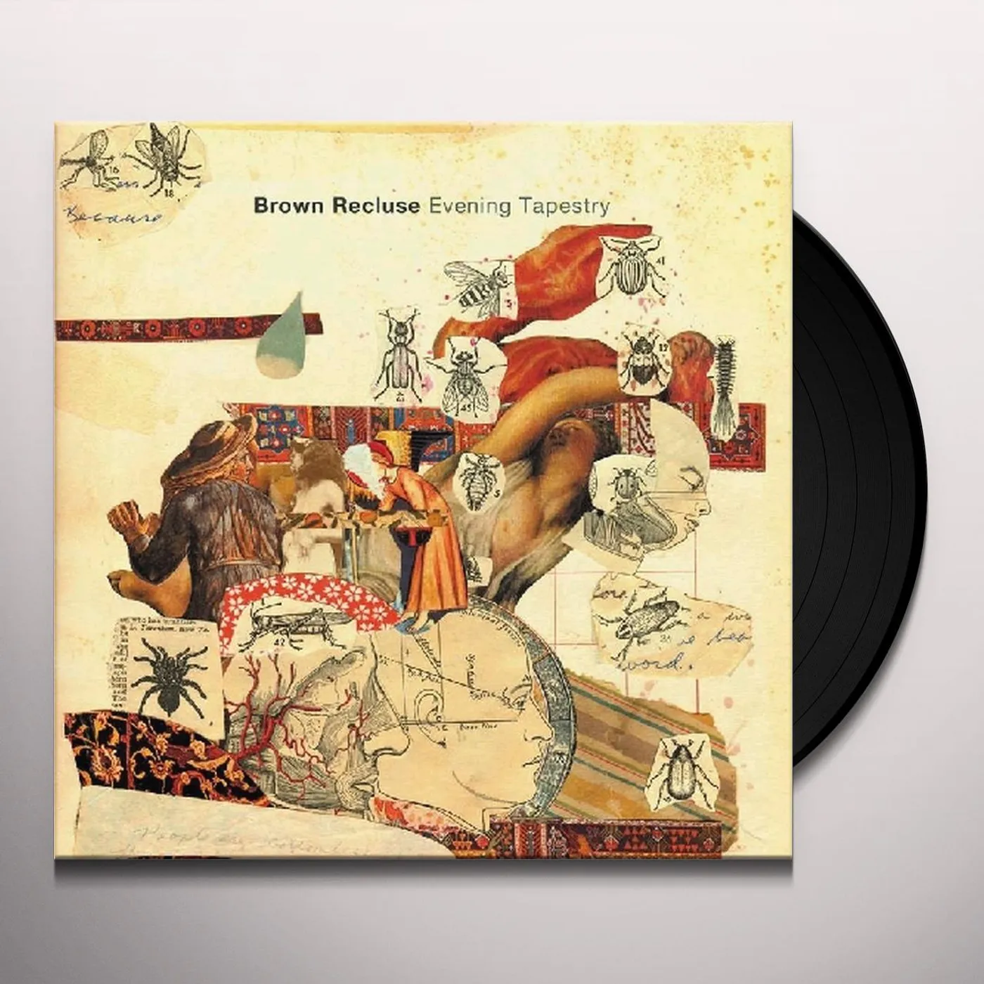 Brown Recluse Evening Tapestry Vinyl Record