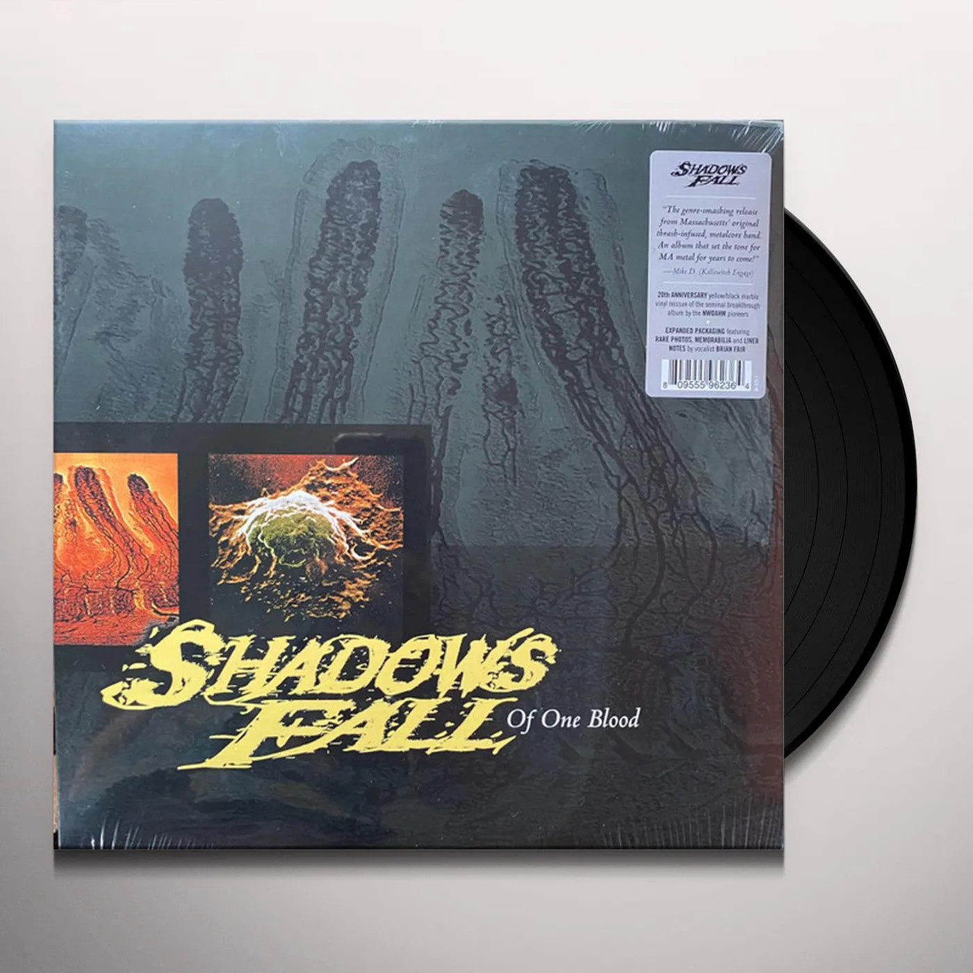 Shadows Fall Of One Blood Vinyl Record