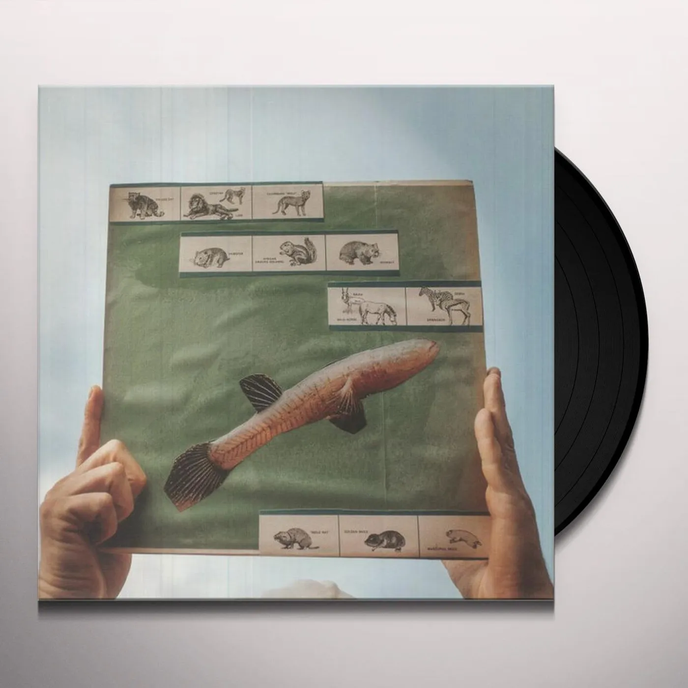 Cotton Jones RIVER STRUMMING (180G) Vinyl Record