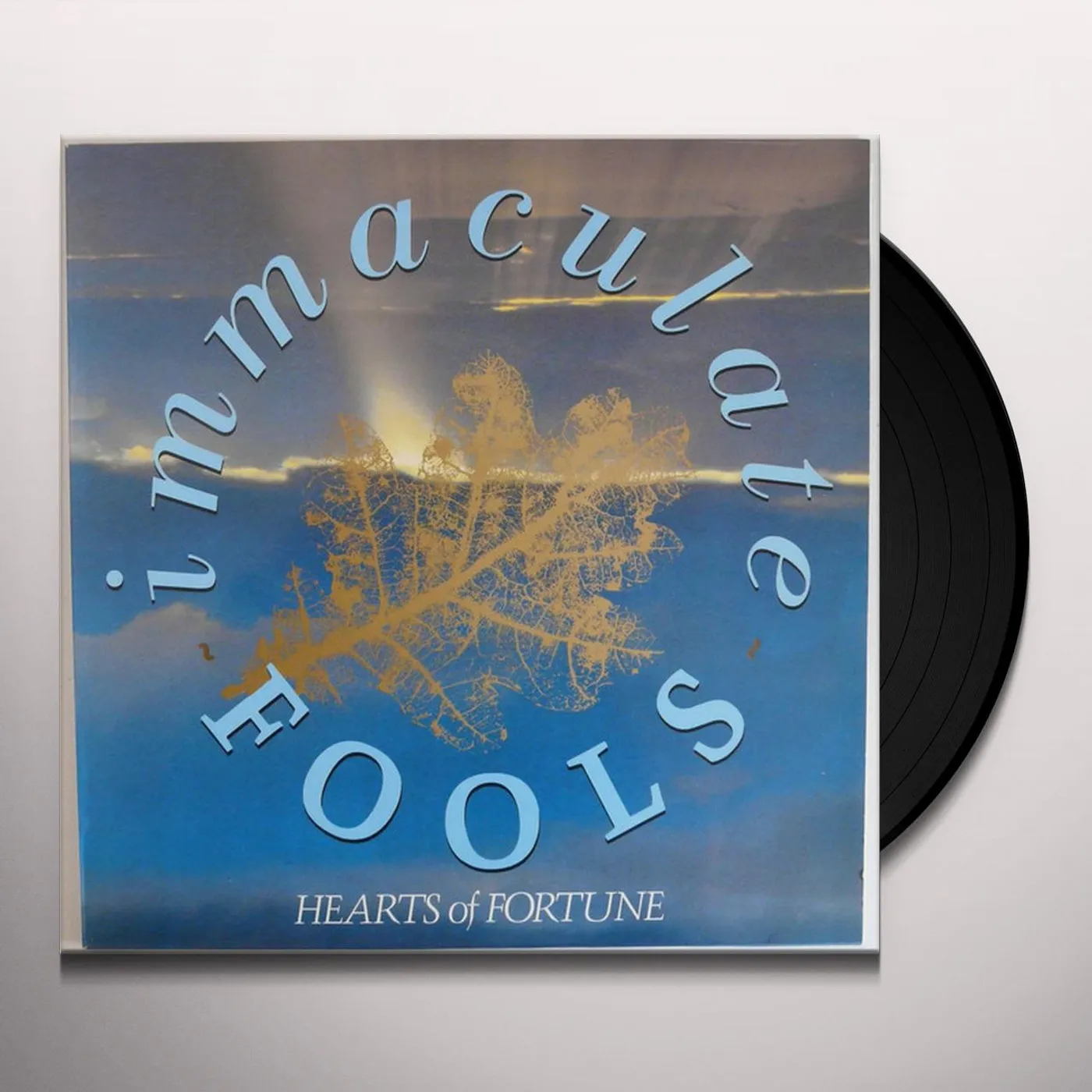 Immaculate Fools Hearts of Fortune Vinyl Record