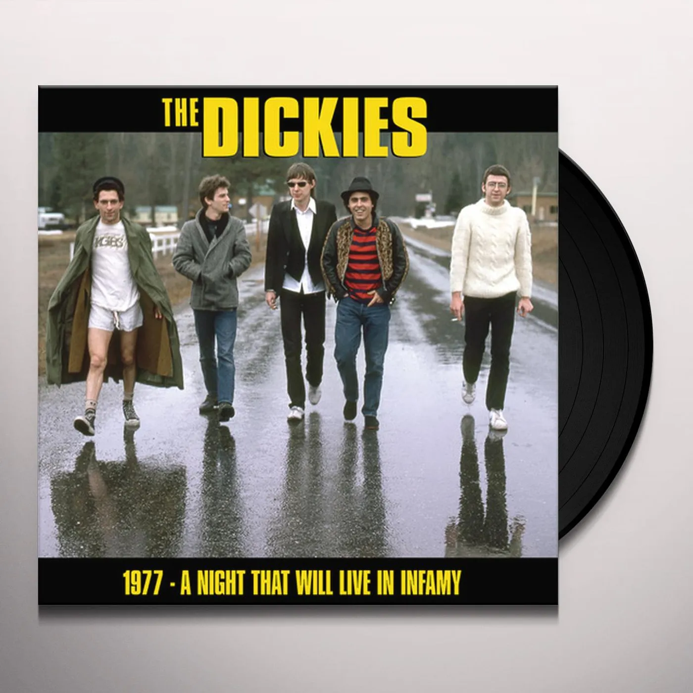 The Dickies A NIGHT THAT WILL LIVE IN INFAMY 1977 Vinyl Record