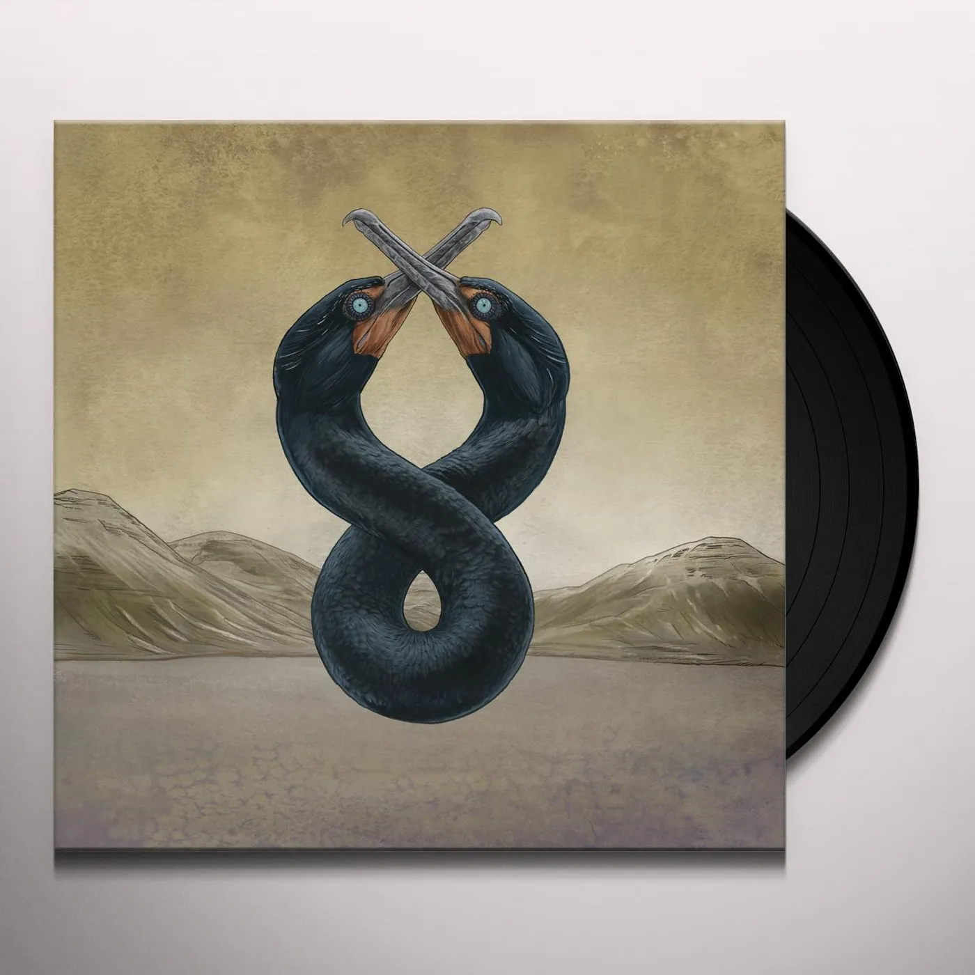 San Fermin CORMORANT I & II Vinyl Record