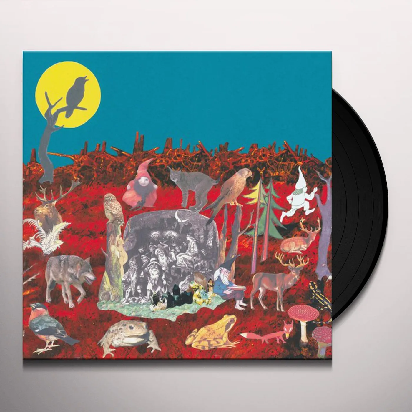 Bigeneric Helva Vinyl Record