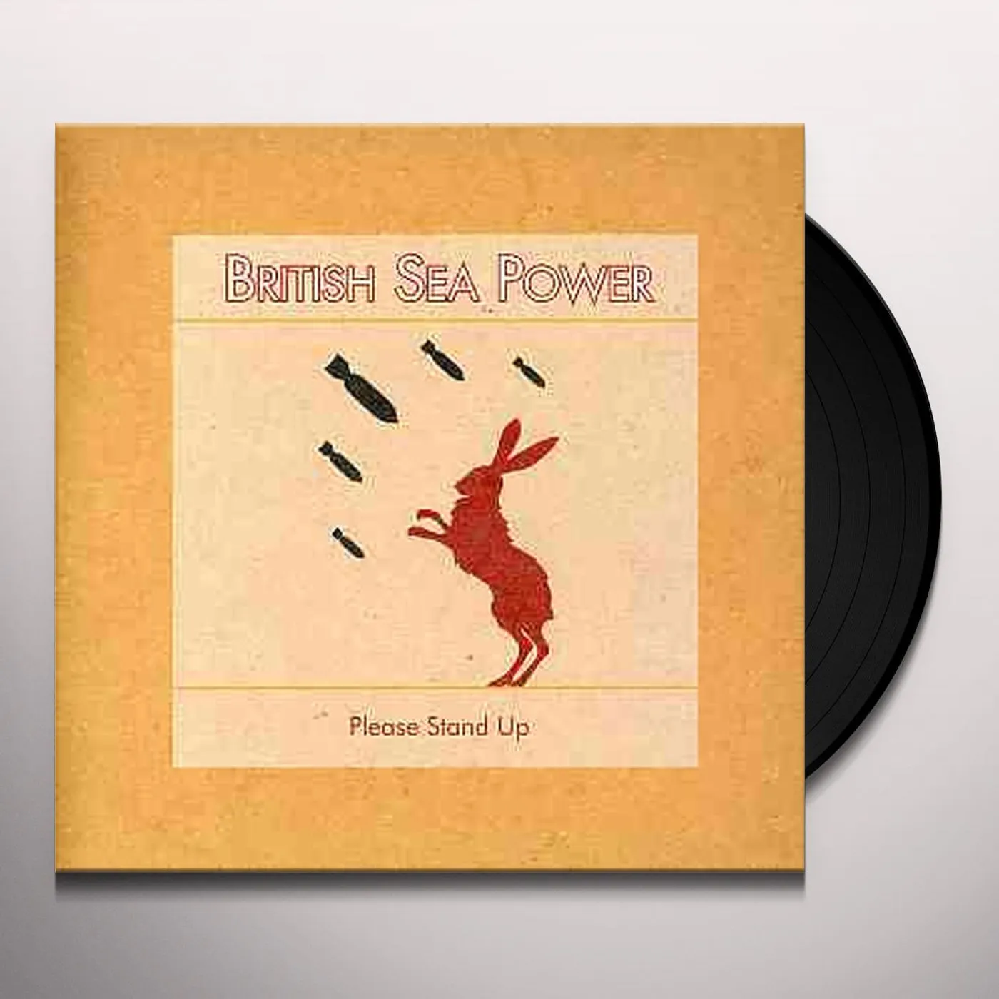 British Sea Power Please Stand Up Vinyl Record