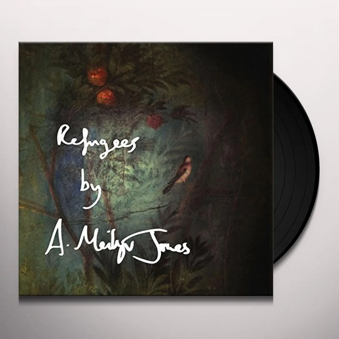 Meilyr Jones REFUGEES/BIRDS Vinyl Record