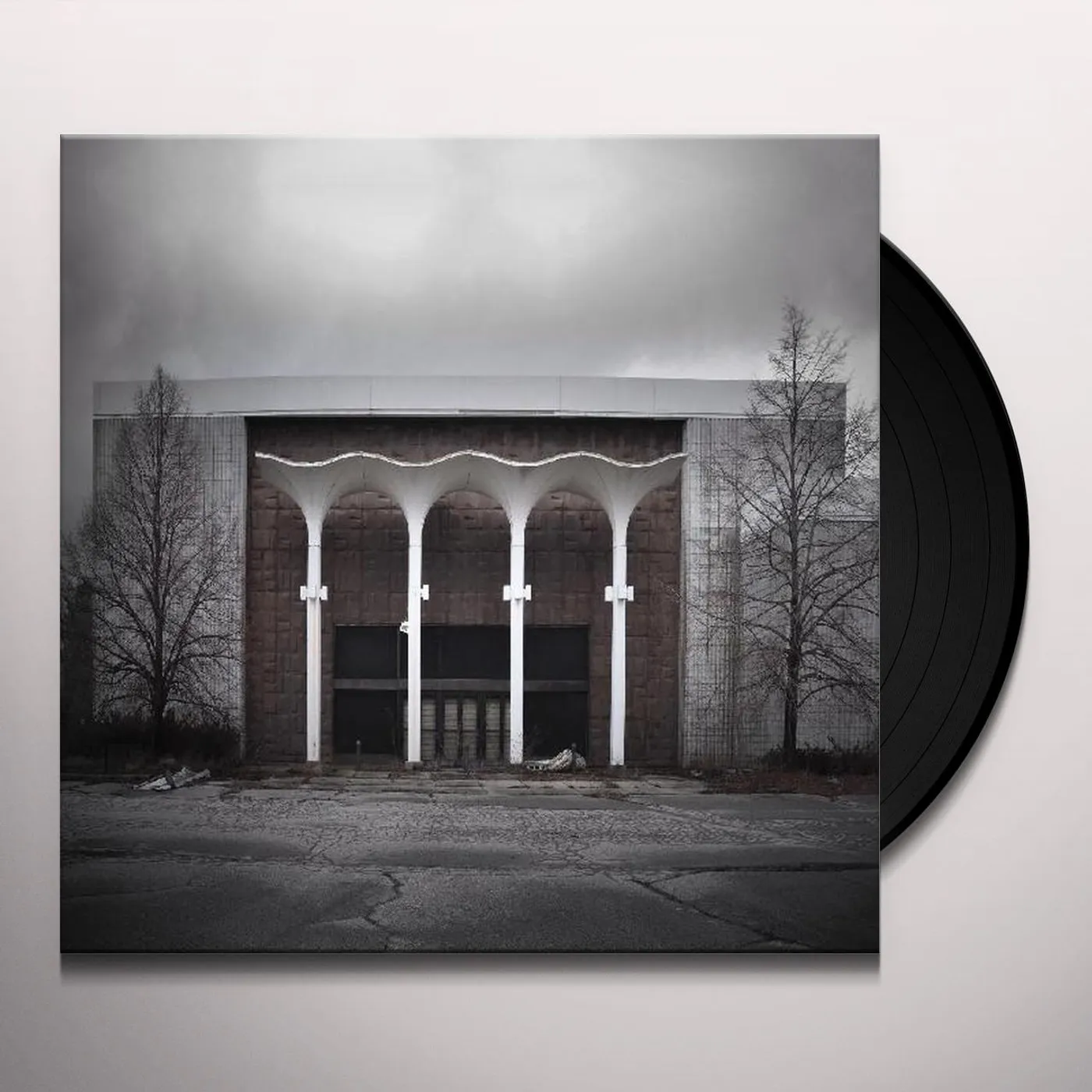 Princess Goes Thanks For Coming Vinyl Record