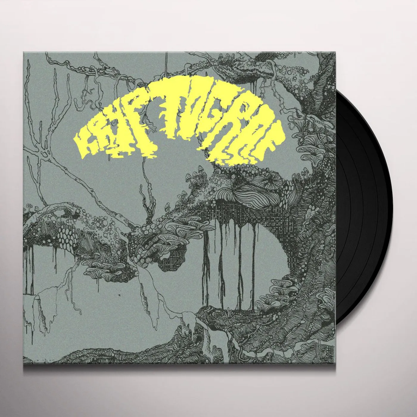 Kryptograf Vinyl Record