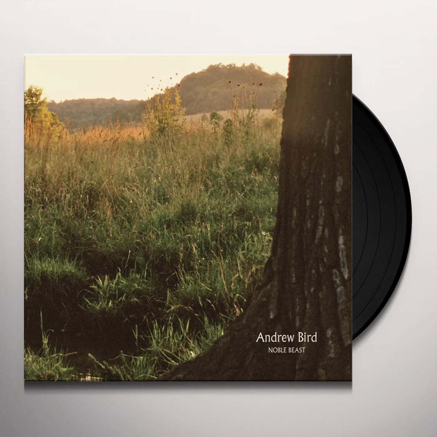 Andrew Bird Noble Beast Vinyl Record
