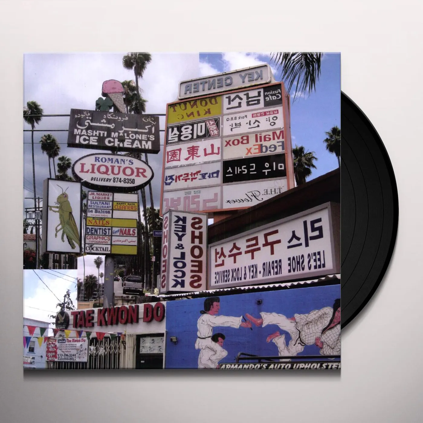 Matthew Friedberger Cut it Out Vinyl Record