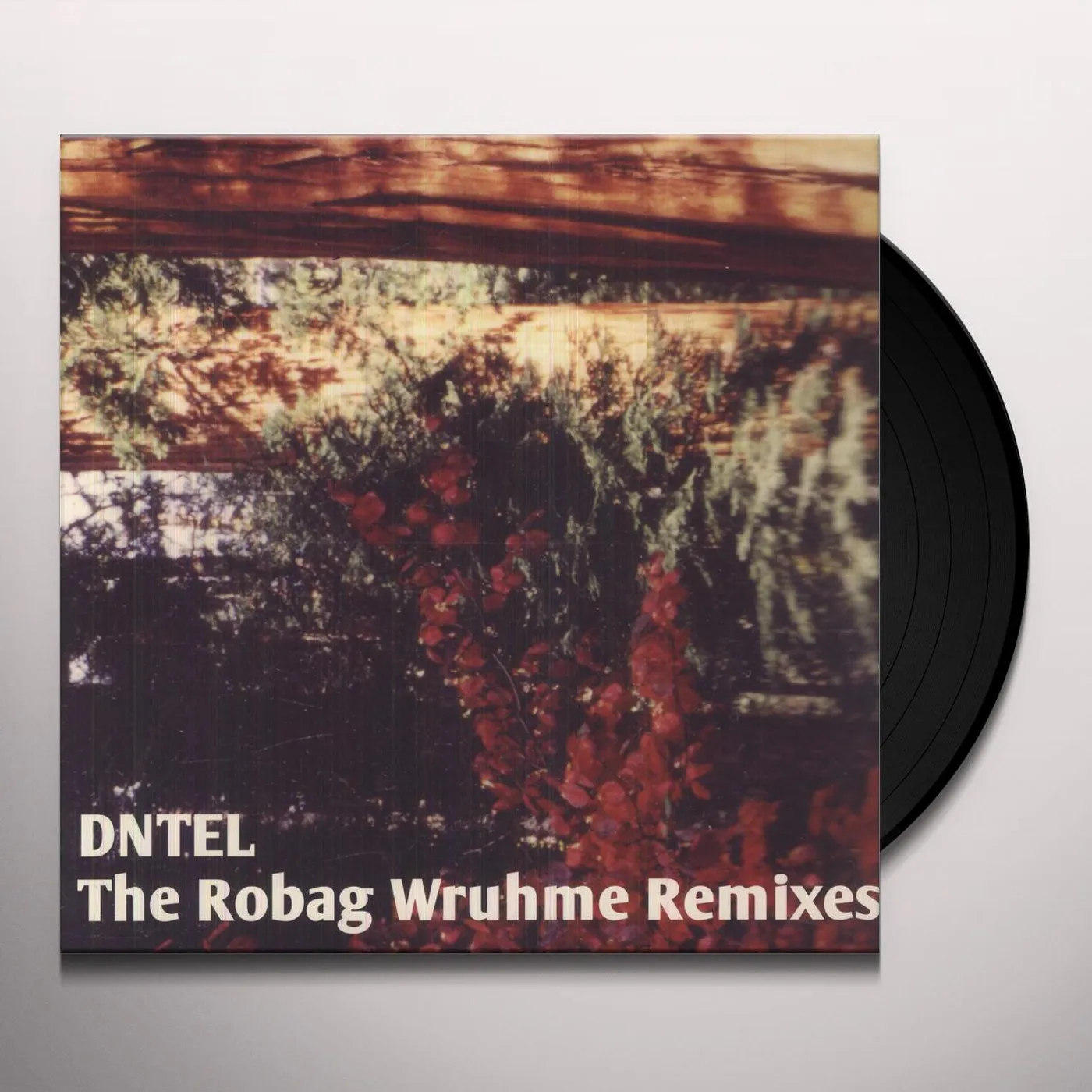 Dntel ROBAG WRUHME REMIXES Vinyl Record