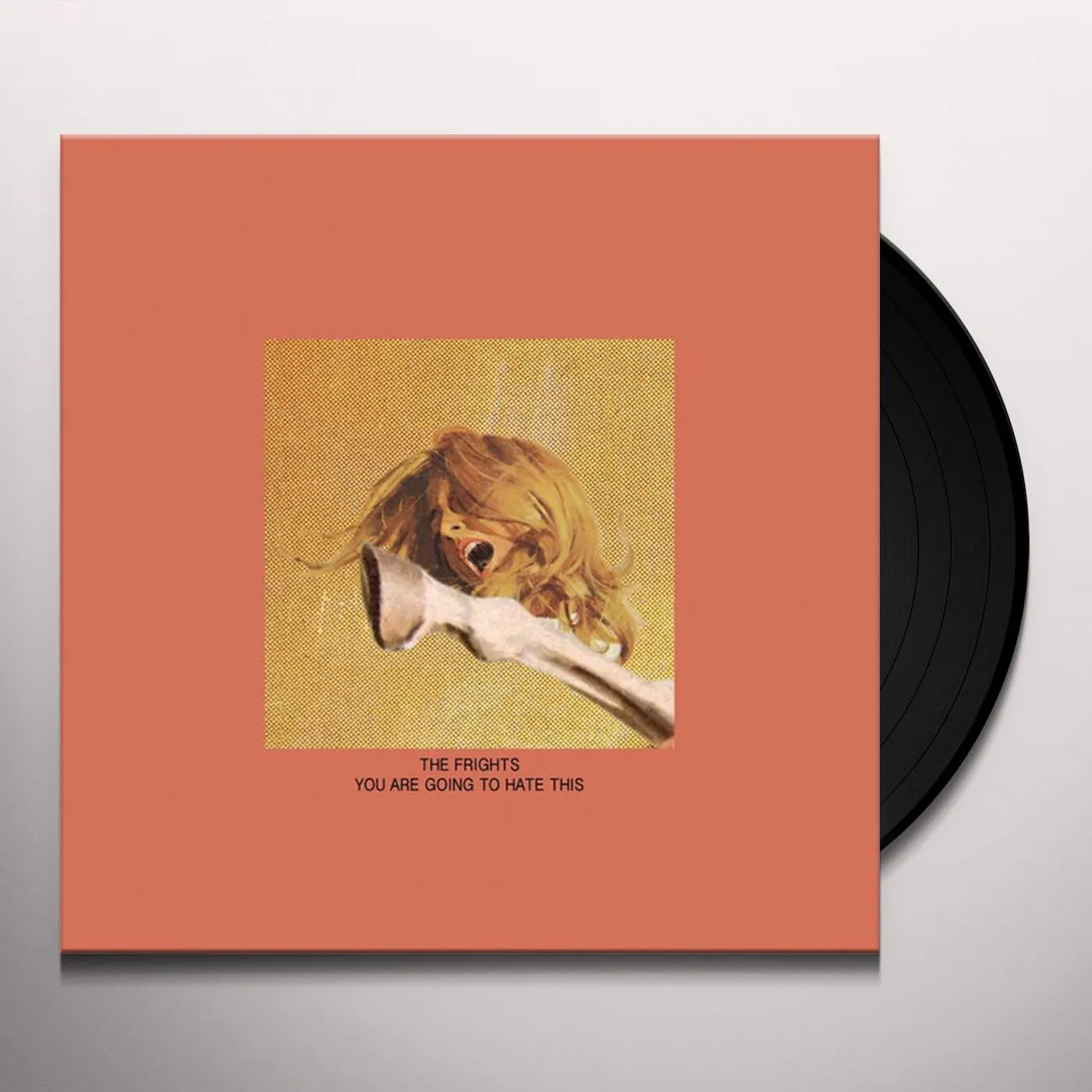 The Frights You Are Going to Hate This Vinyl Record