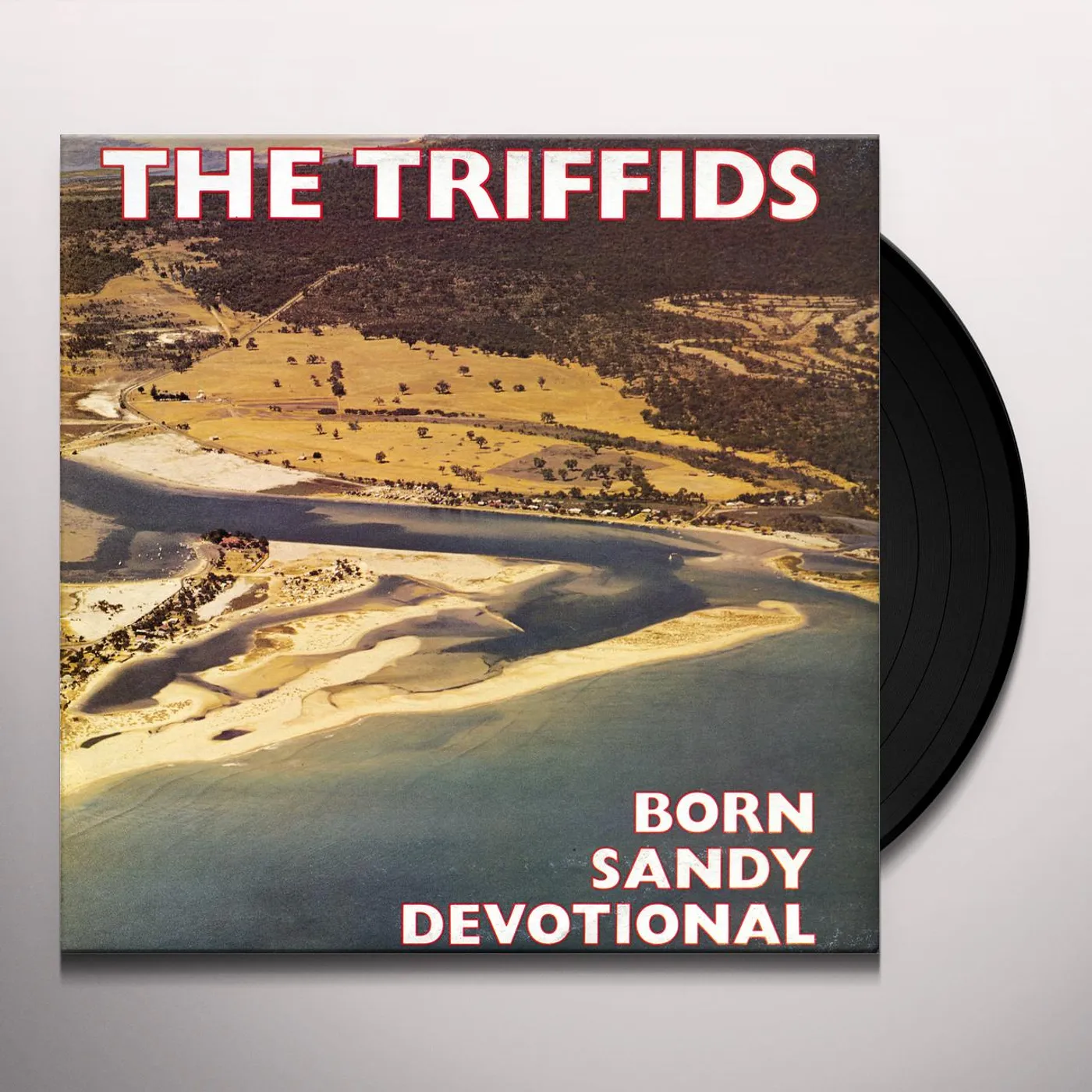 The Triffids Born Sandy Devotional Vinyl Record