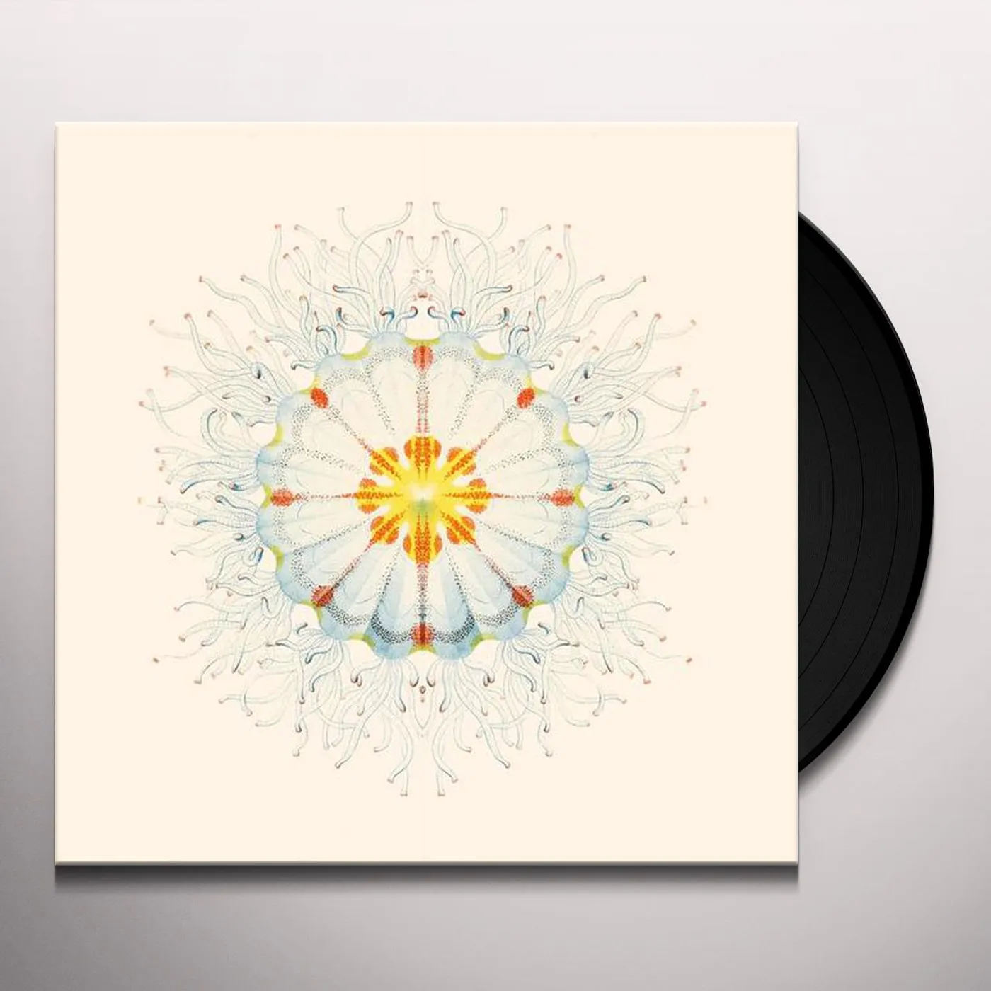 Charlie Charlie LITTE THINGS Vinyl Record