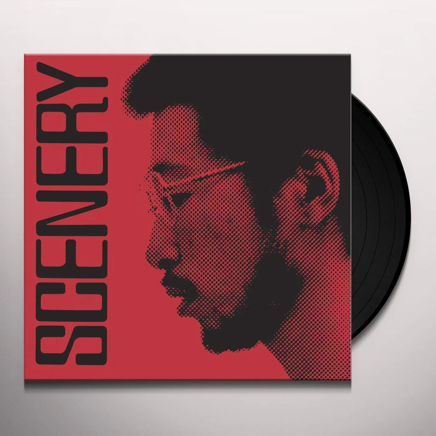 Ryo Fukui Scenery Vinyl Record