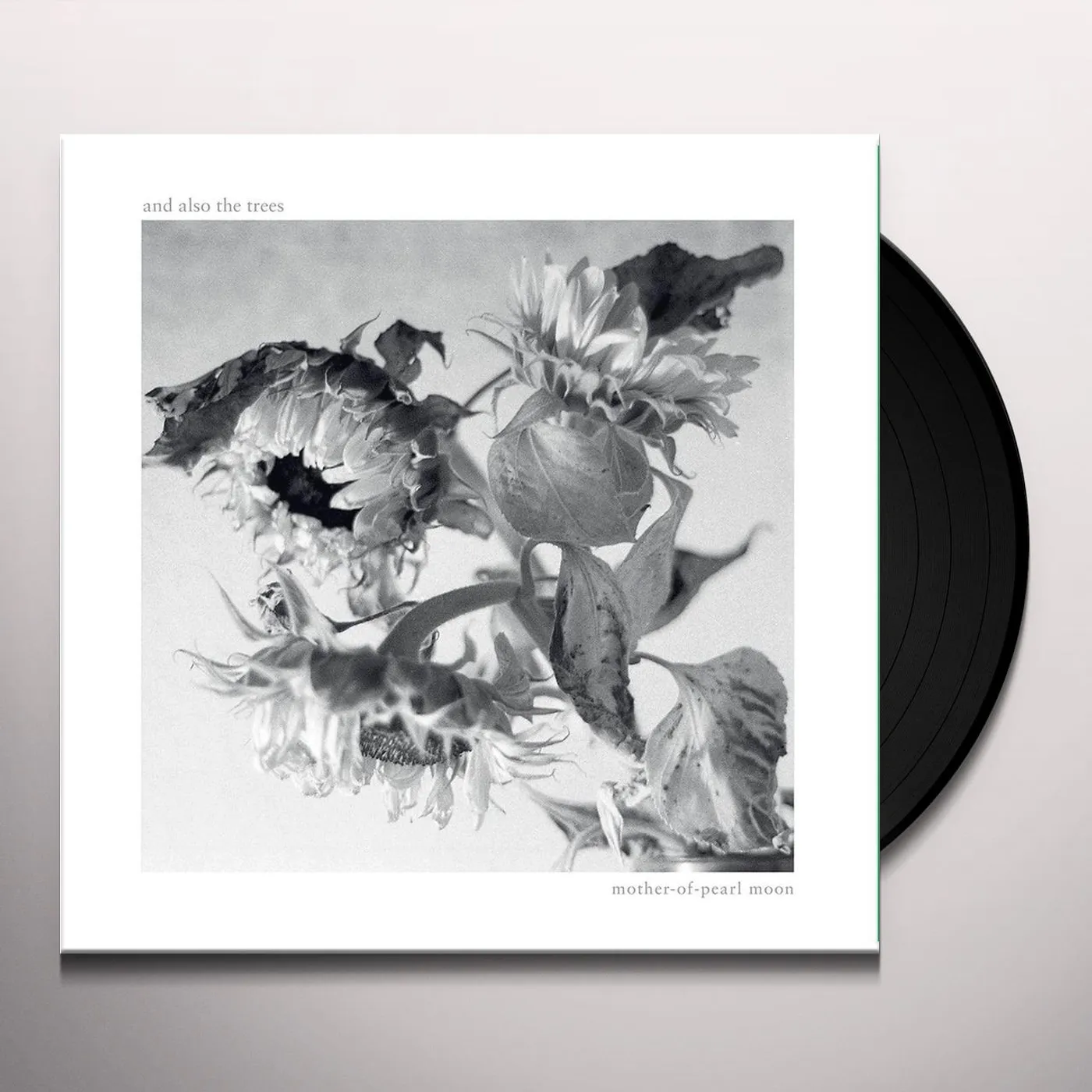 And Also The Trees Mother-Of-Pearl Moon Vinyl Record