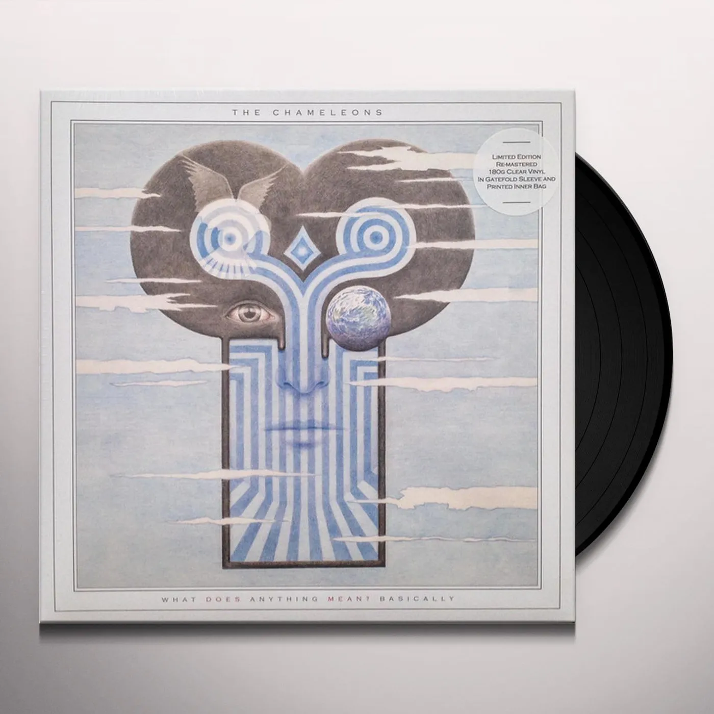 The Chameleons WHAT DOES ANYTHING MEAN - BASICALLY Vinyl Record