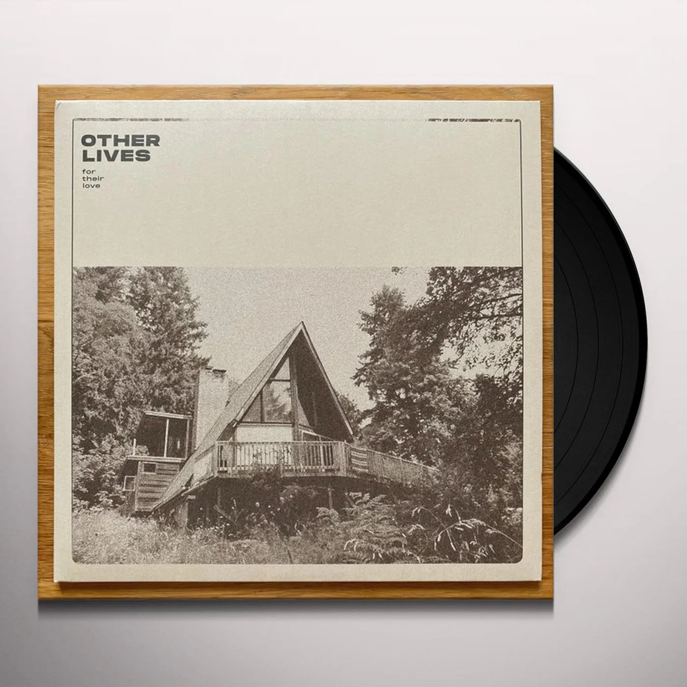 Other Lives FOR THEIR LOVE Vinyl Record