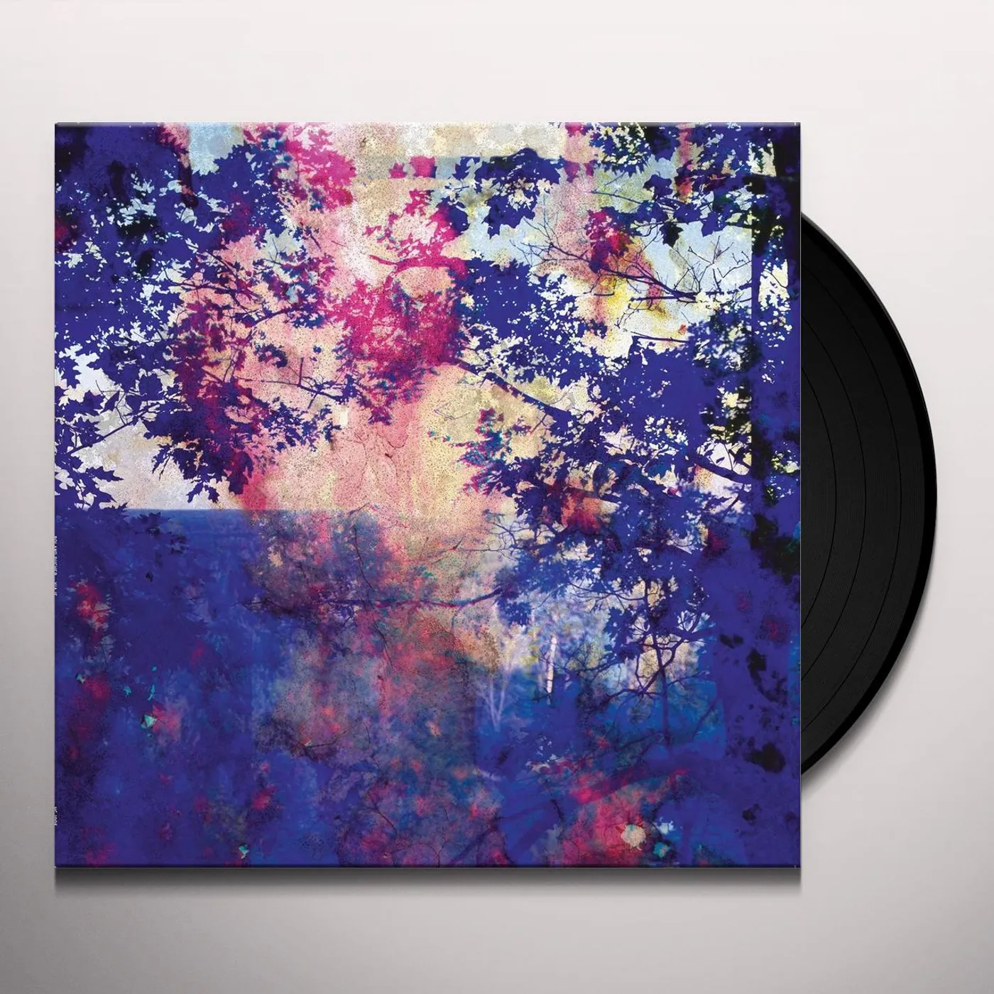 Roland Bucher Viaje Vinyl Record